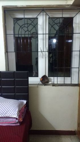 UPVC डबल लीफ कैसमेंट विंडो