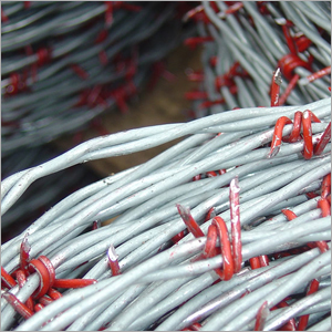 Concertina Wire