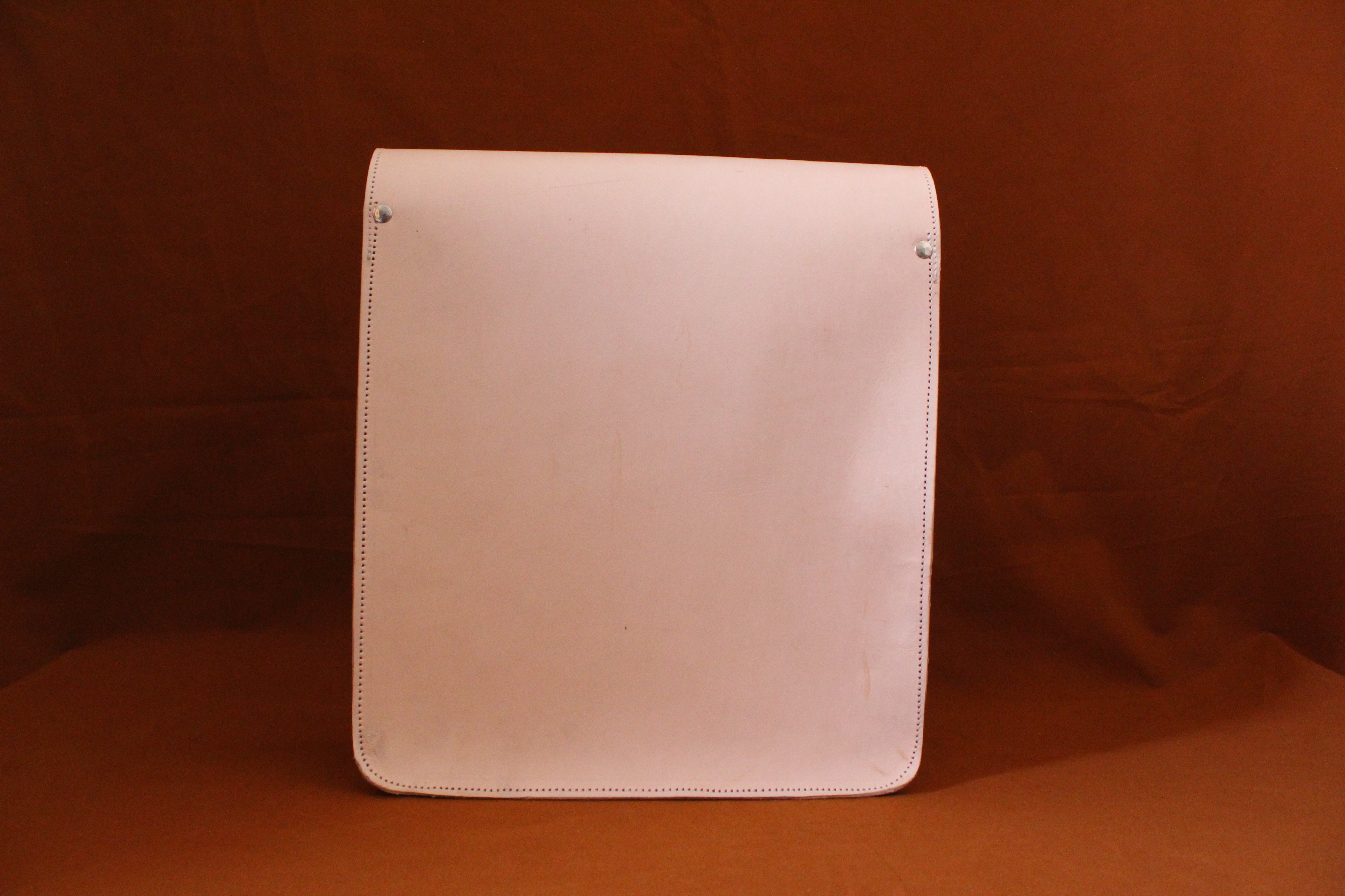 Document Case