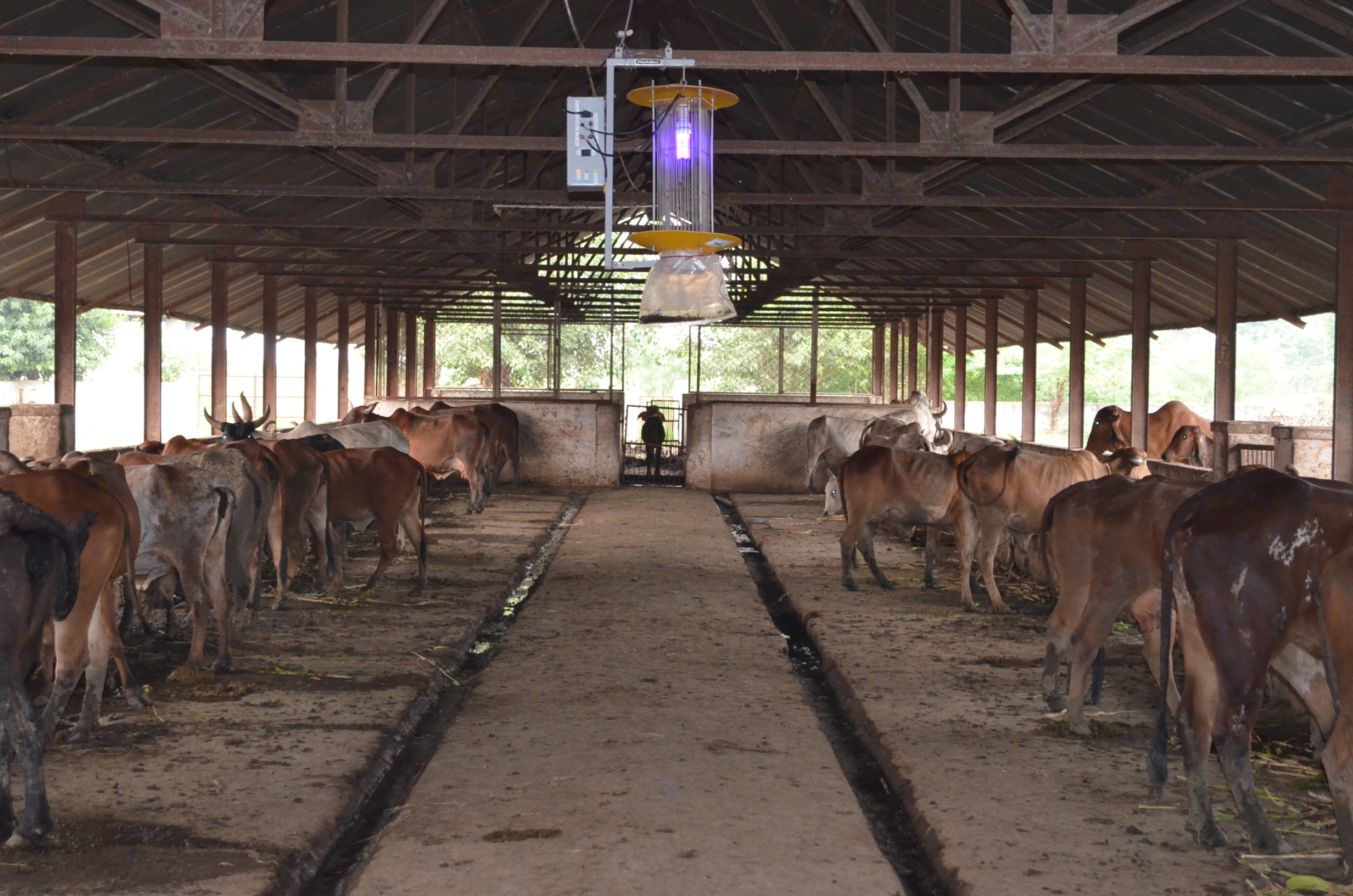 Electric Pest Killer - Metal, 4 Acre Control Area | Uv Light Source, 10-12 Year Life Span, Rainproof