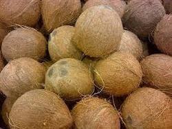 Mature Coconut