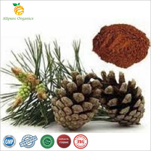 Pine Bark Extract Powder