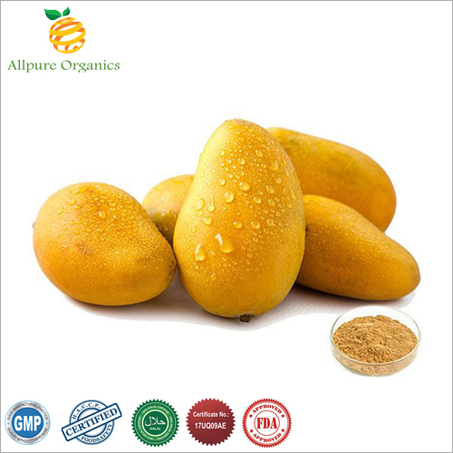 आम अर्क पाउडर