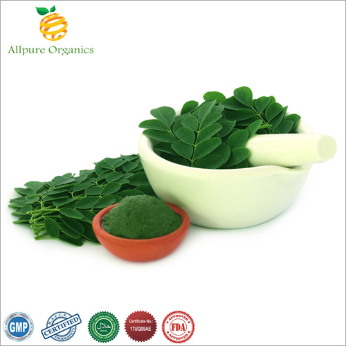 Moringa Leaf Extract Powder