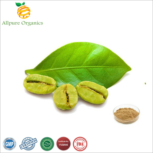Green Coffee Bean Extract Powder