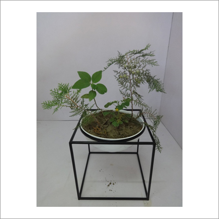 ब्लैक क्ले पॉट स्टैंड्स