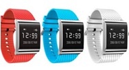 NW-B43 Bracelet Watch