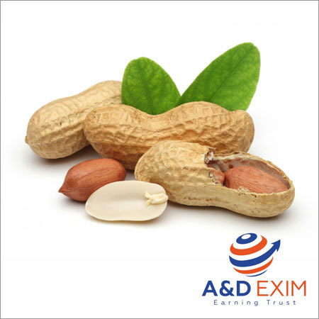 In Shell Peanuts