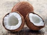Mature Coconut