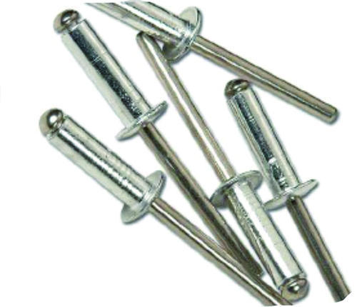 Stainless Steel Domed Head Rivets