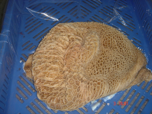 Beef Honeycomb Tripe
