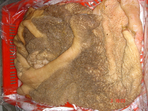 Dried Beef Tripes