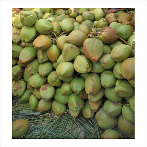 ताजा नरम नारियल