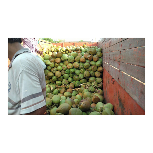 ताजा नरम नारियल