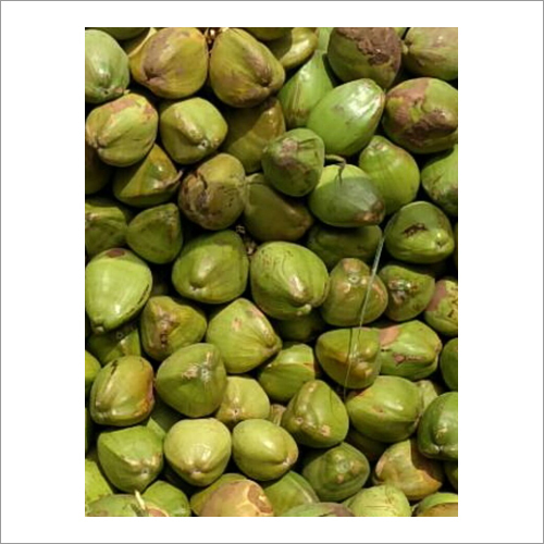 शुद्ध नारियल