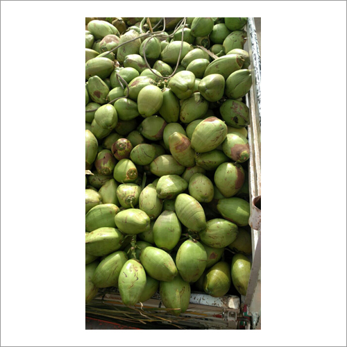 हरा नारियल