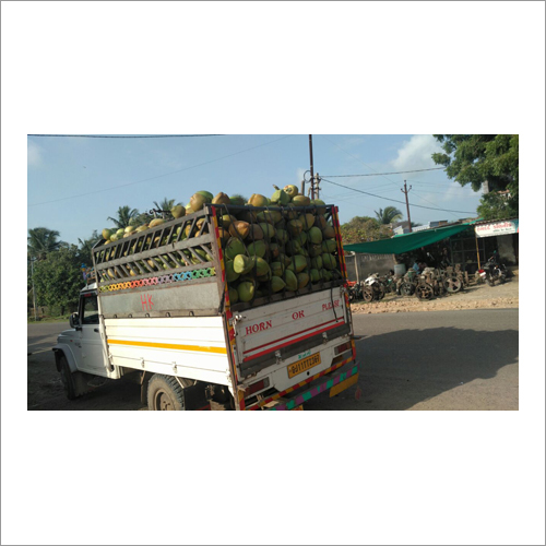 ऑर्गेनिक फ्रेश नारियल