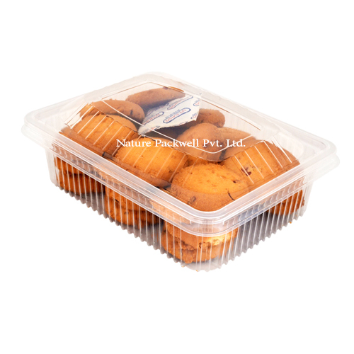 Clear Rectangular Container