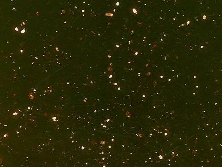 Black Galaxy