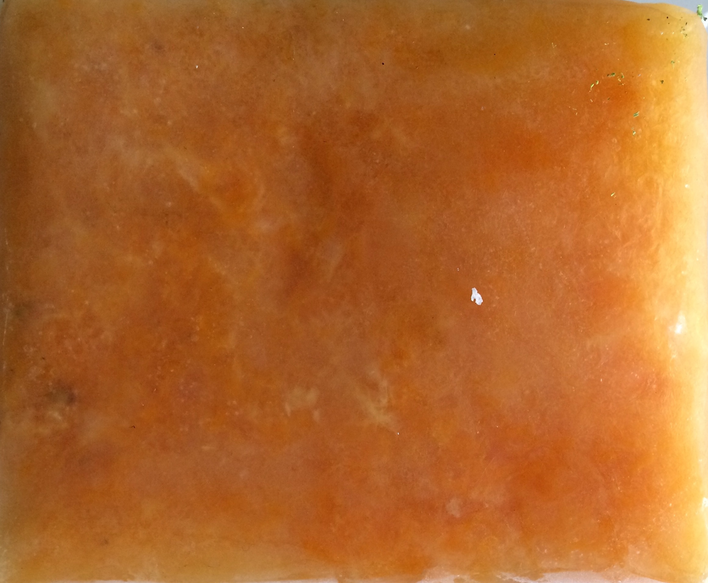 Frozen Orange Pulp
