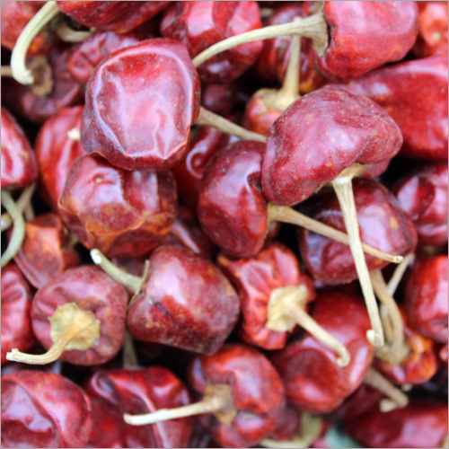 सूखी गोल लाल मिर्च