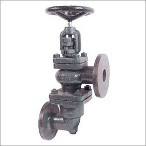 कास्ट आयरन एक्सेसिबल फीड चेकर वाल्व