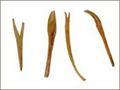Dry-Tendons