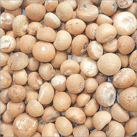 पान का नट