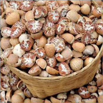 आरिका नट्स