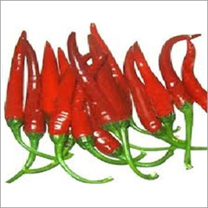 Red Chilli