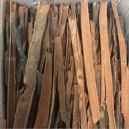 स्प्लिट कासिया (ताज)