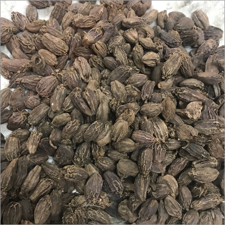 बड़ी इलायची (Big Cardamom)