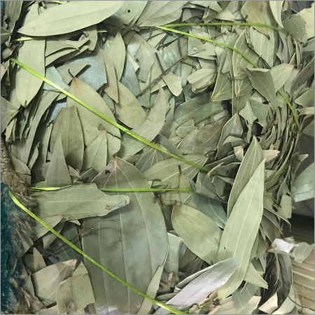 हरी तेज पत्ते (तमालपत्र)