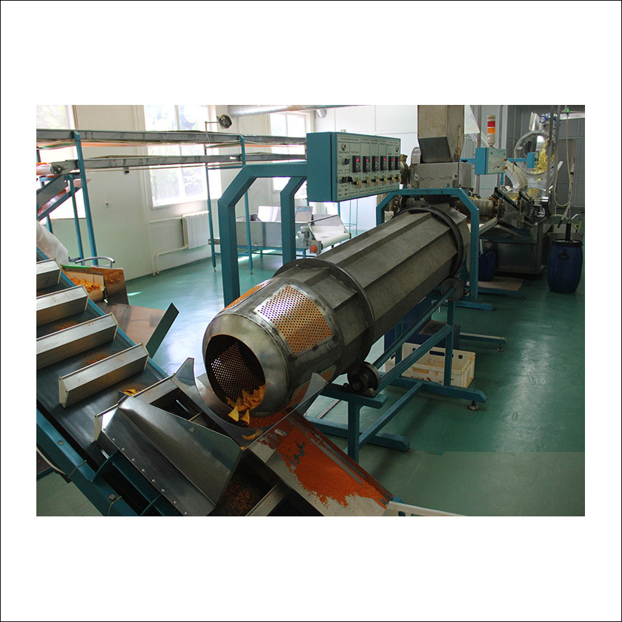 Automatic Multi Grain Chips Production Line Capacity: 150-500 Kilogram(kg)