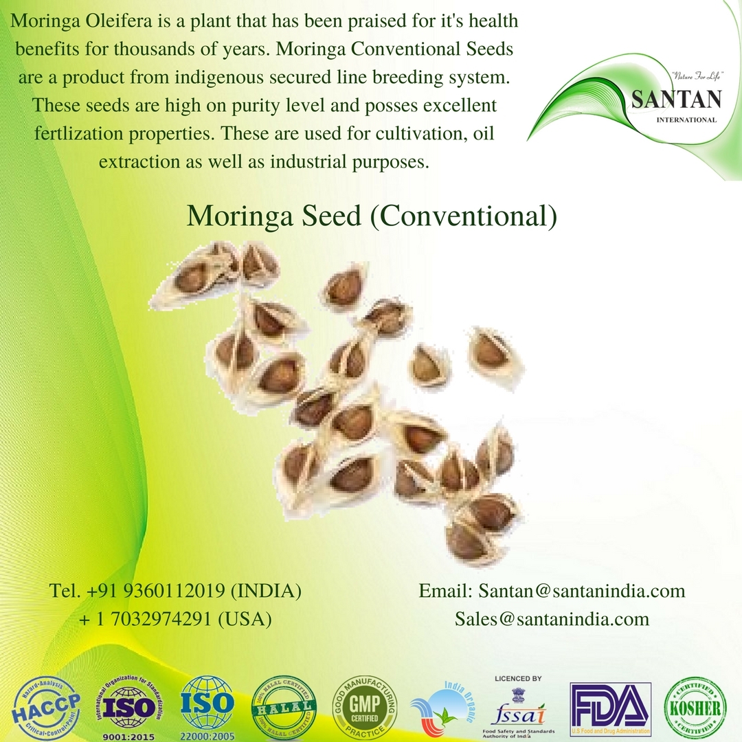Moringa Seed (Conventional)