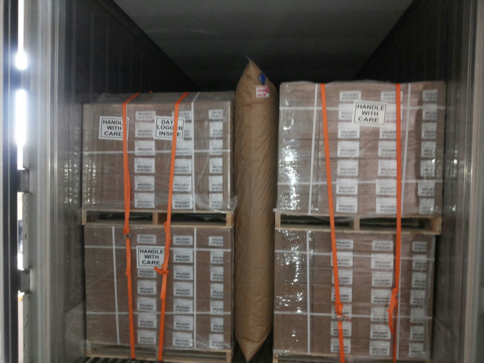 Container Stuffing Services - Expert Loading & Securing, Skilled Workforce - Safe Cargo Unloading