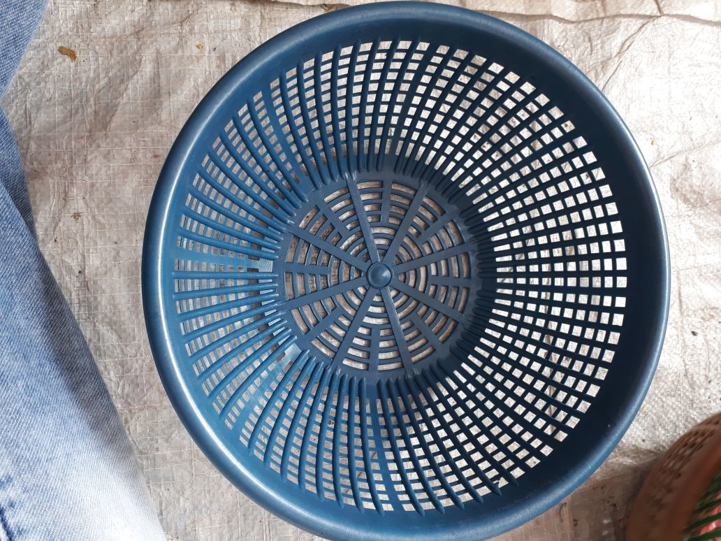 Vegetable Basket