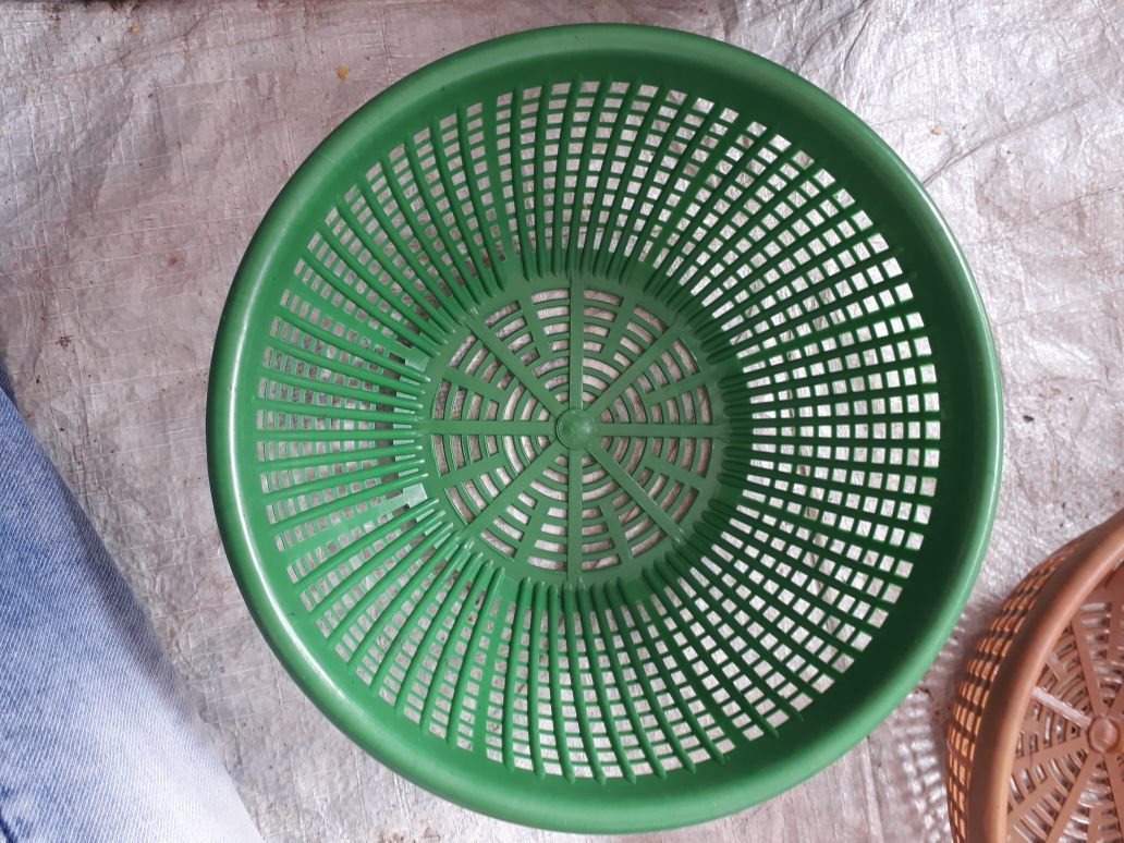 Vegetable Basket