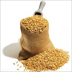 Granule Maize Cattle Feed