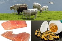 उच्च-चर्बी वाला कॉड लिवर ऑयल