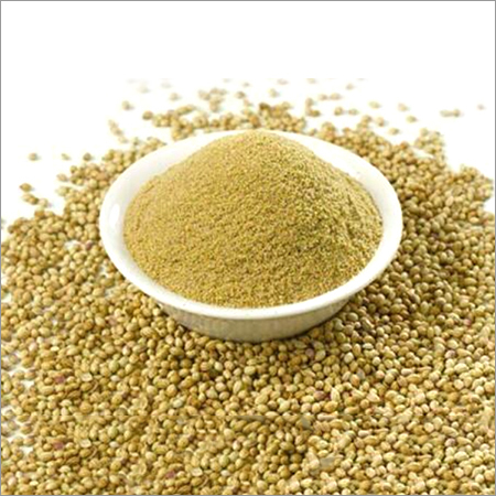 Fresh Dhaniya Powder