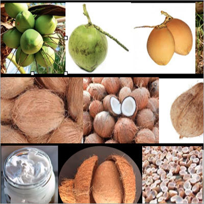 कोइऱ पिथ कोकोपीट उत्पाद