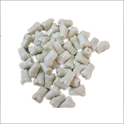 टाइपोडेंट दांत