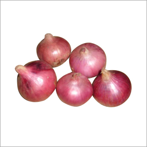 ताजा प्याज