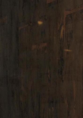 सजावटी लैमिनेट्स अनुप्रयोग: रसोई