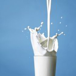 Lactose Application: Pharmaceutical Industry
