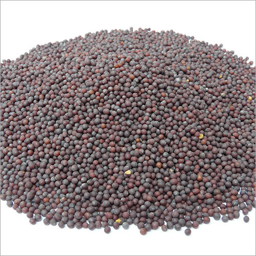 Dried Black Mustard Seeds (Rai)