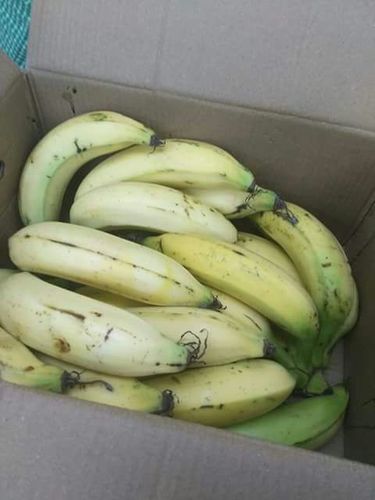 Banana