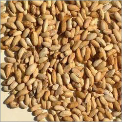 Neem Seeds & Leaves - Fresh Naturally Cultivated Neem, Green Color, Excellent Packaging | Skin Benefits, Purifies Blood, Boosts Immunity, Anti-inflammatory Properties