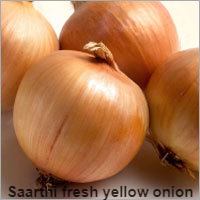 Fresh Yellow Onions